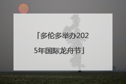 多伦多举办2025年国际龙舟节