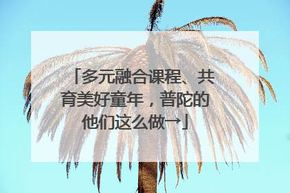 多元融合课程、共育美好童年，普陀的他们这么做→