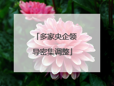 多家央企领导密集调整
