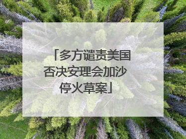 多方谴责美国否决安理会加沙停火草案