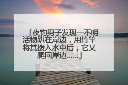 夜钓男子发现一不明活物趴在岸边，用竹竿将其拨入水中后，它又爬回岸边……