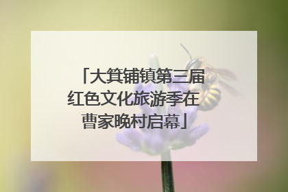 大箕铺镇第三届红色文化旅游季在曹家晚村启幕