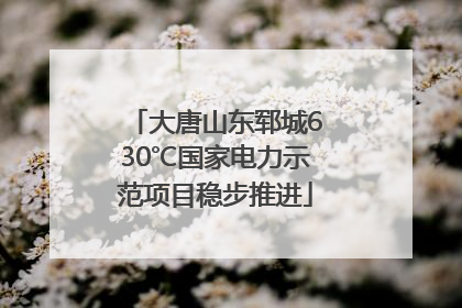 大唐山东郓城630℃国家电力示范项目稳步推进