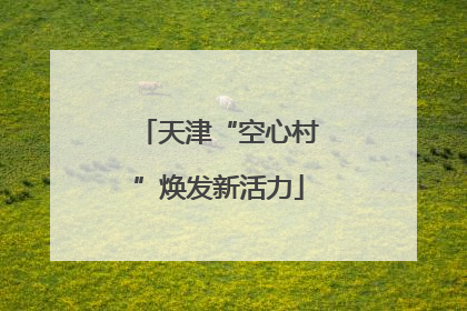天津“空心村”焕发新活力