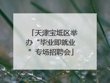 天津宝坻区举办“毕业即就业”专场招聘会