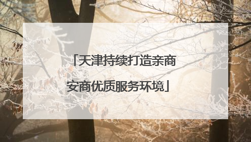 天津持续打造亲商安商优质服务环境