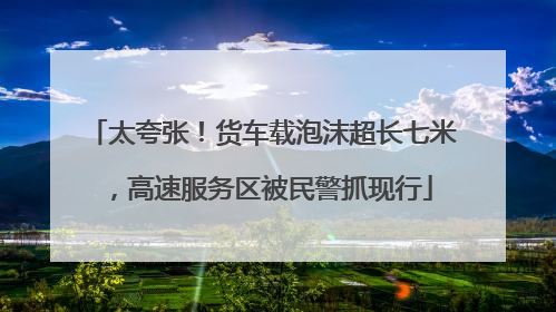太夸张！货车载泡沫超长七米，高速服务区被民警抓现行