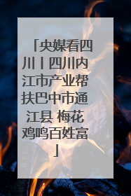 央媒看四川丨四川内江市产业帮扶巴中市通江县 梅花鸡鸣百姓富