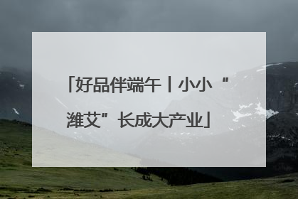 好品伴端午丨小小“潍艾”长成大产业