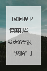如何捍卫德国利益 默茨访美很“烧脑”