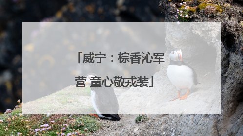 威宁：棕香沁军营 童心敬戎装