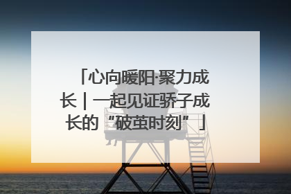 心向暖阳·聚力成长｜一起见证骄子成长的“破茧时刻”