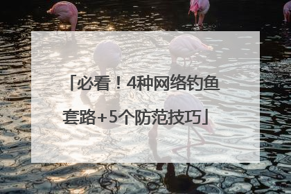 必看！4种网络钓鱼套路+5个防范技巧