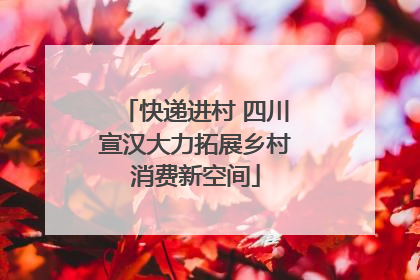 快递进村 四川宣汉大力拓展乡村消费新空间