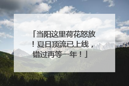 当阳这里荷花怒放！夏日顶流已上线，错过再等一年！