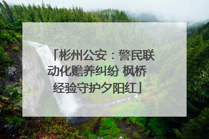 彬州公安：警民联动化赡养纠纷 枫桥经验守护夕阳红