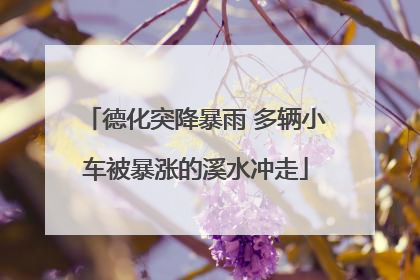 德化突降暴雨 多辆小车被暴涨的溪水冲走