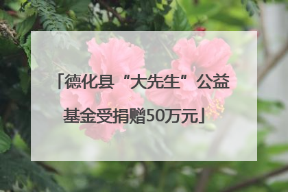 德化县“大先生”公益基金受捐赠50万元