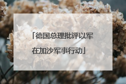 德国总理批评以军在加沙军事行动