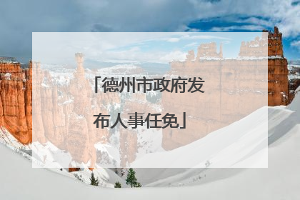德州市政府发布人事任免
