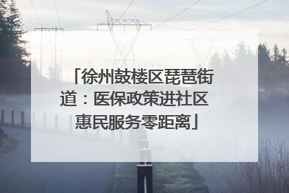 徐州鼓楼区琵琶街道：医保政策进社区 惠民服务零距离