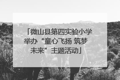 微山县第四实验小学举办“童心飞扬 筑梦未来”主题活动