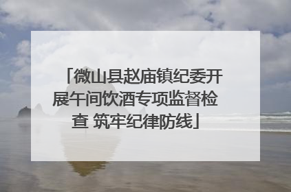 微山县赵庙镇纪委开展午间饮酒专项监督检查 筑牢纪律防线