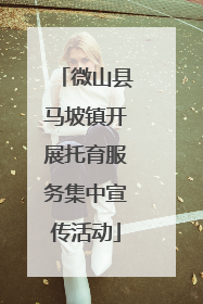 微山县马坡镇开展托育服务集中宣传活动