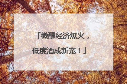 微醺经济爆火，低度酒成新宠！