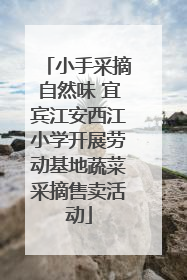 小手采摘自然味 宜宾江安西江小学开展劳动基地蔬菜采摘售卖活动