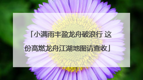 小满雨丰盈龙舟破浪行 这份高燃龙舟江湖地图请查收