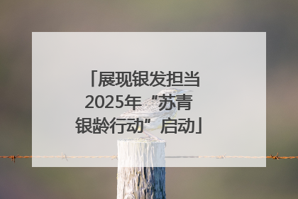 展现银发担当 2025年“苏青银龄行动”启动