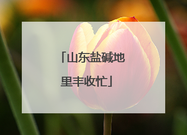 山东盐碱地里丰收忙