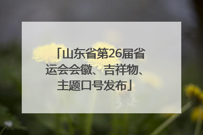 山东省第26届省运会会徽、吉祥物、主题口号发布