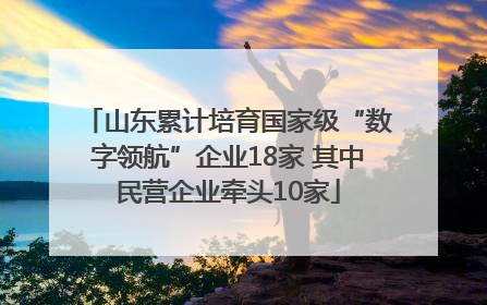 山东累计培育国家级“数字领航”企业18家 其中民营企业牵头10家