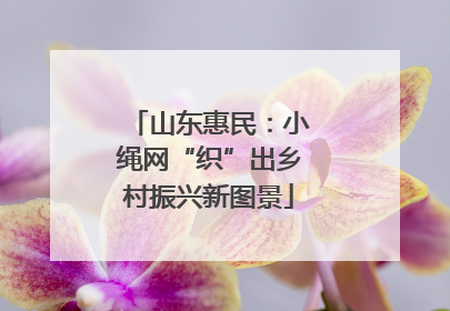 山东惠民：小绳网“织”出乡村振兴新图景