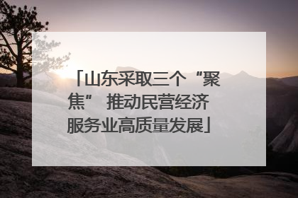 山东采取三个“聚焦” 推动民营经济服务业高质量发展
