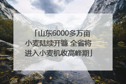 山东6000多万亩小麦陆续开镰 全省将进入小麦机收高峰期
