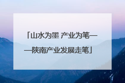 山水为墨 产业为笔——陕南产业发展走笔