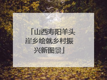 山西寿阳羊头崖乡绘就乡村振兴新图景