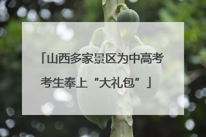 山西多家景区为中高考考生奉上“大礼包”