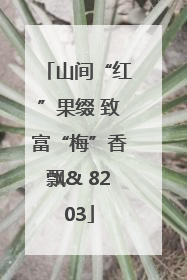山间“红”果缀 致富“梅”香飘& 8203