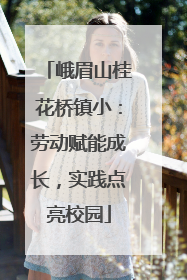 峨眉山桂花桥镇小：劳动赋能成长，实践点亮校园