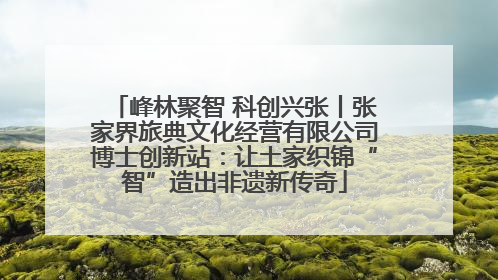 峰林聚智 科创兴张丨张家界旅典文化经营有限公司博士创新站：让土家织锦“智”造出非遗新传奇