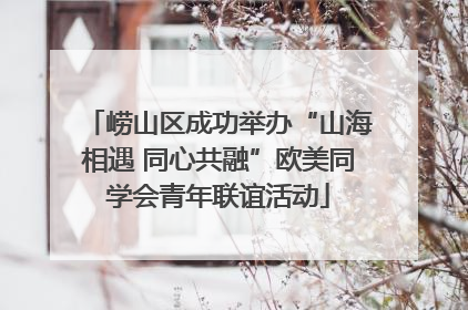 崂山区成功举办“山海相遇 同心共融”欧美同学会青年联谊活动