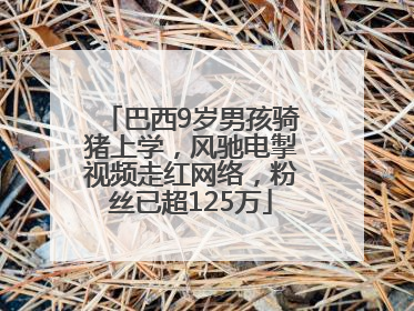 巴西9岁男孩骑猪上学，风驰电掣视频走红网络，粉丝已超125万