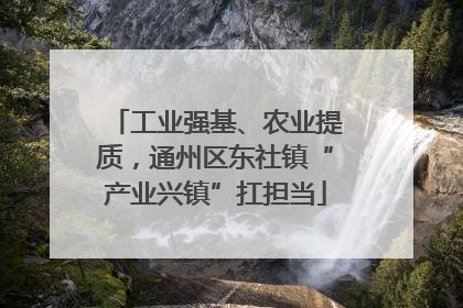 工业强基、农业提质，通州区东社镇“产业兴镇”扛担当