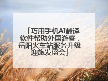 巧用手机AI翻译软件帮助外国游客，岳阳火车站服务升级迎旅发盛会