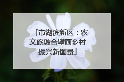 市湖滨新区：农文旅融合擘画乡村振兴新图景