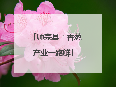 师宗县：香葱产业一路鲜